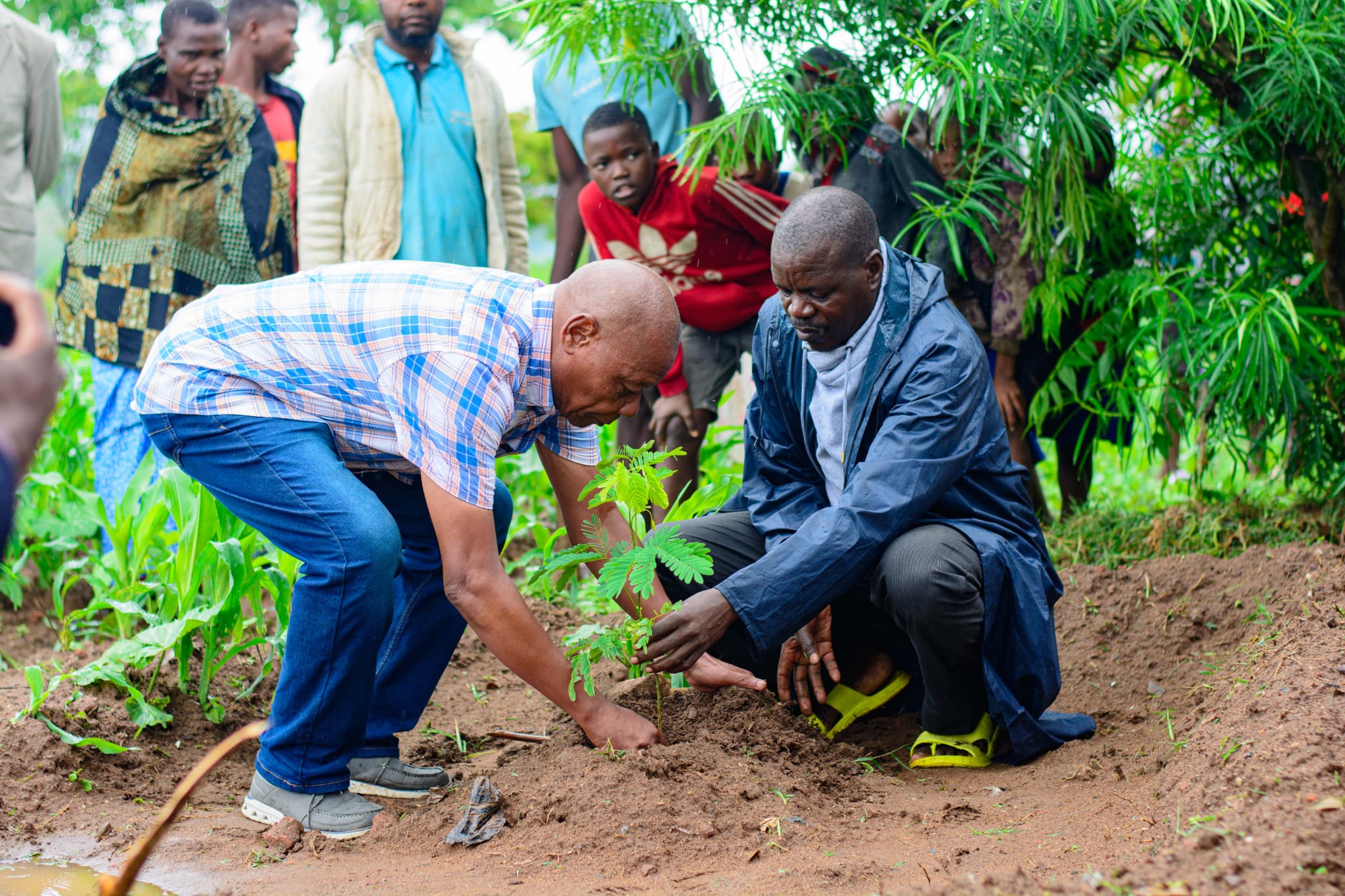 Community planting event