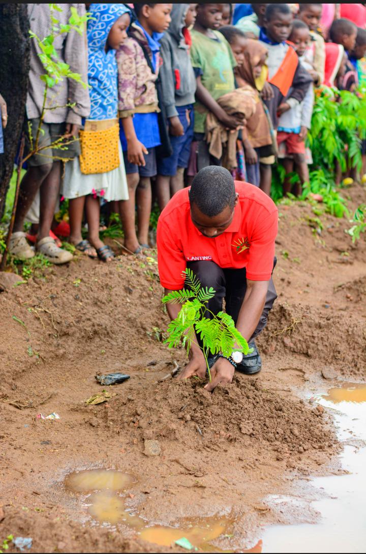 School children planting