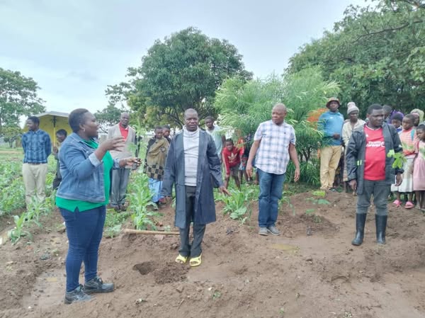 School Tree Planting