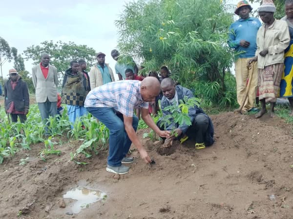 Youth Planting