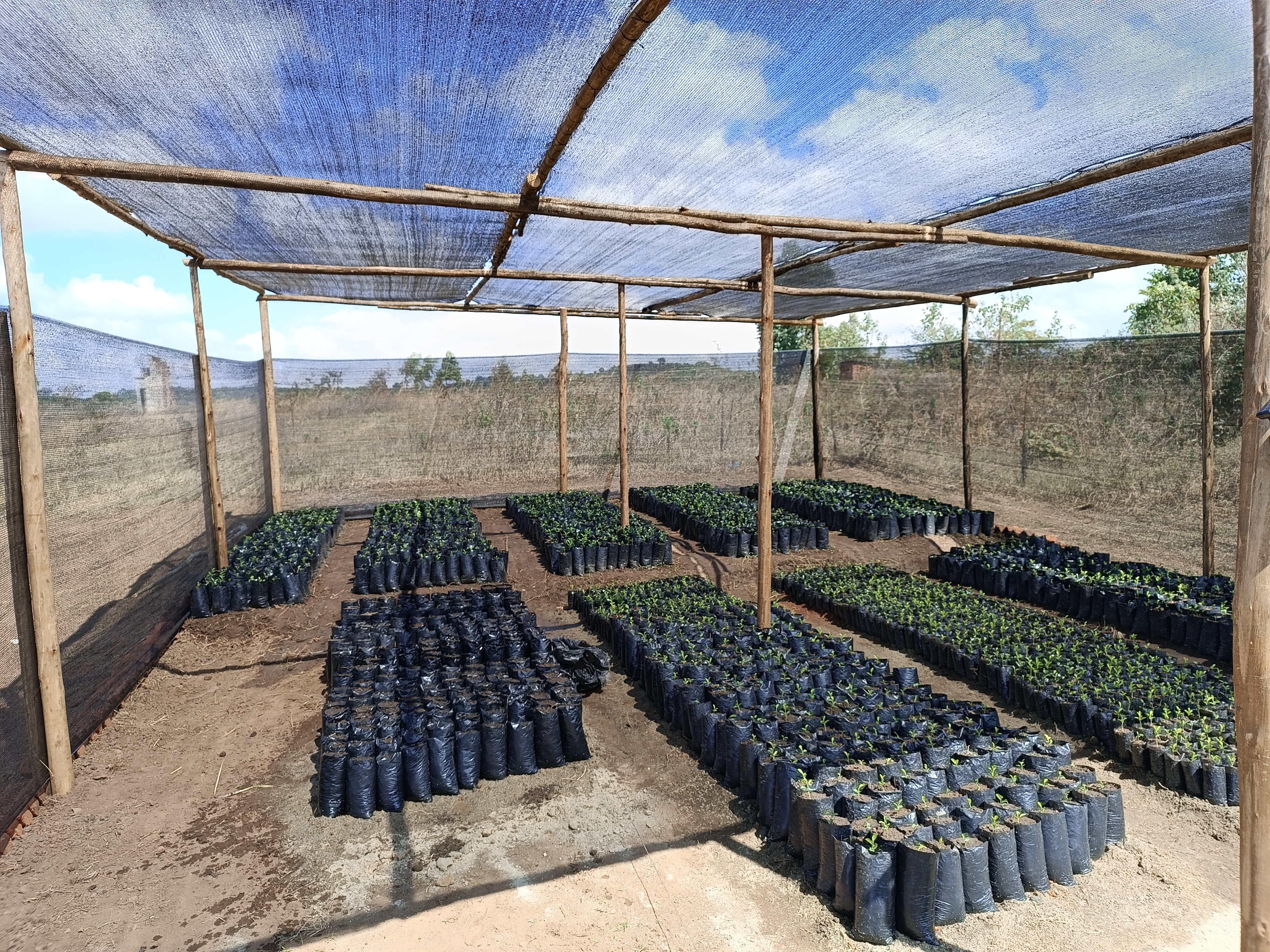 Plant Nursery